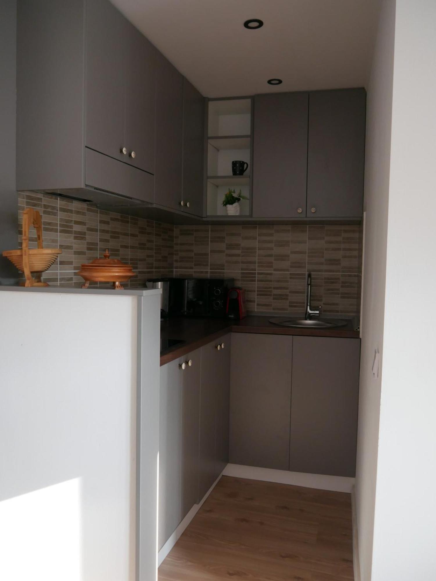 Free Garage In The Center-Delicia 4 Studio! Sibiu Eksteriør billede