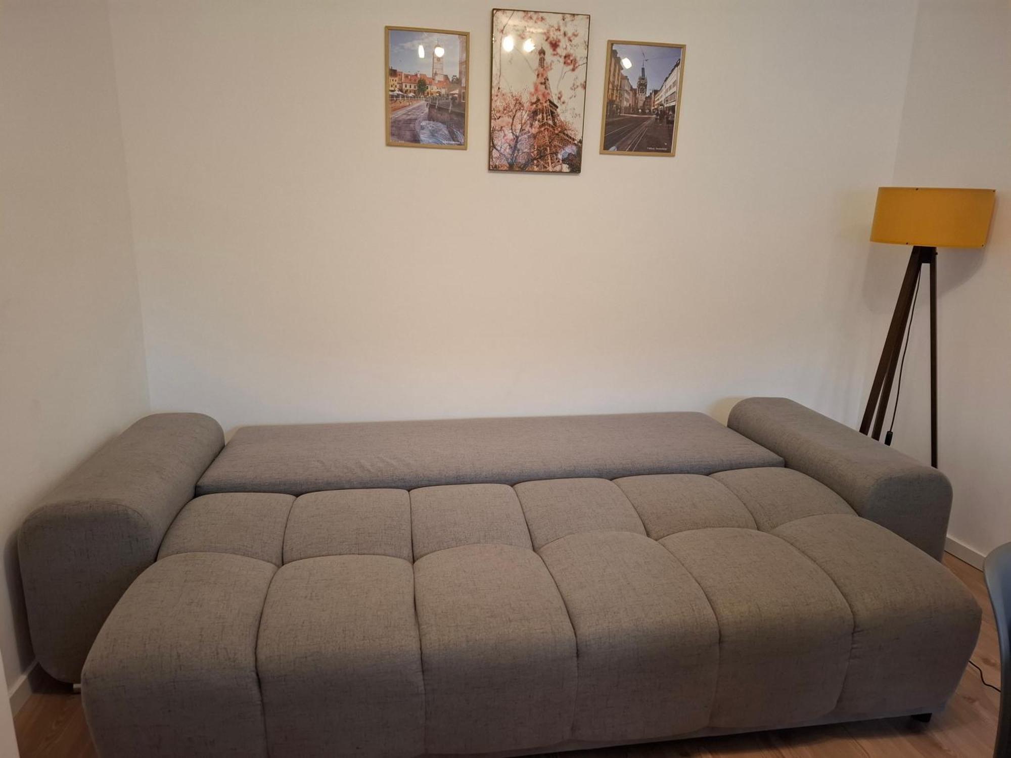 Free Garage In The Center-Delicia 4 Studio! Sibiu Eksteriør billede